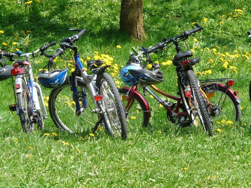 Découvrez les meilleures idées de sorties éducatives à faire en famille en 2026